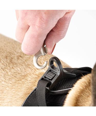Classic Vest Harness Air Mesh - Curli D-Ring Buckle in Fuchsia XS | Ideal for Comfortable Pet Travel - Shop Internationally! - Buy Online on GoSupps.com
