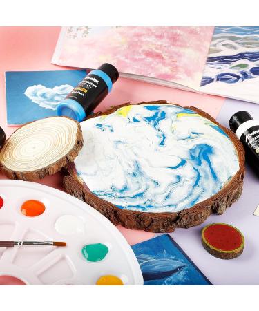 ABEIER Iridescent Acrylic Paint Set - 18 Chameleon Colors - 2oz/60ml Bottles - Non-Toxic, High Viscosity Paint for Rocks, Crafts, Canvas, Wood, Fabric, Ceramic & Stone - Buy Online on GoSupps.com
