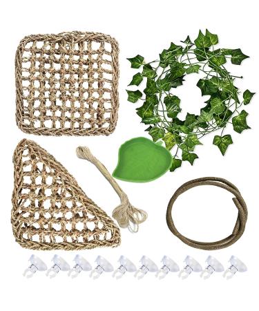 Allazon 15 pieces of terraristics lizard Habitat decor accessories reptiles hammock and terrarium climbing plants with water bowl for chameleon lizards gecko snakes iguana (2) hemp rope - Buy Online on GoSupps.com