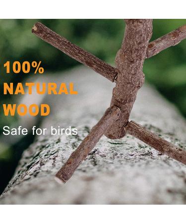 Filhome Bird Perch Stand Toy | Natural Wood Parrot Cage Branch | For Parakeets, Cockatiels, Conures, Macaws | 10 Length - Buy Online on GoSupps.com