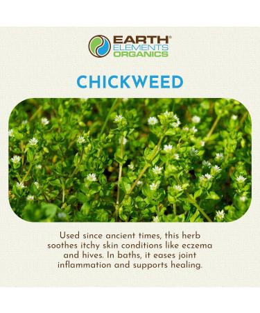 Earth Elements Organics Chickweed Oil Herbal Remedy Infused in Sunflower Seed Oil Organic Skincare for All Skin Types - 1 fl oz - Buy Online on GoSupps.com