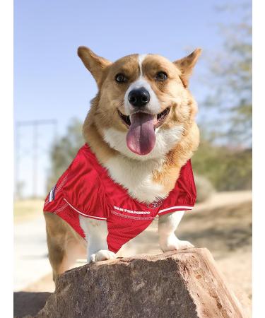 San Francisco 49ers NFL CHICAGO BEARS Mesh Jersey for Dogs and Cats - Red - Medium | Pets First Pet Supplies - Buy Online on GoSupps.com