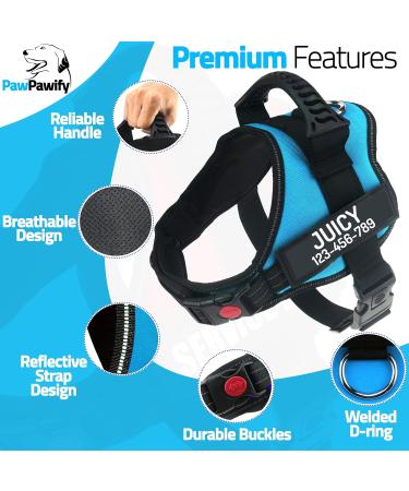 Personalized Pawpawify Dog Harness - Anti-Pull & Durable - XS Sky Blue (Chest 17-22in) for Training & Walking - Buy Online on GoSupps.com