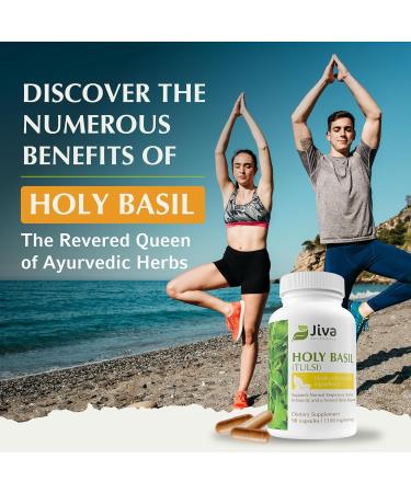 Jiva Botanicals Holy Basil Capsules - Premium Holy Basil Extract with Tulsi Powder - Ayurvedic Herb Alternative to Tincture - 90 Vegan Capsules 90 Count (Pack of 1) - Buy Online on GoSupps.com