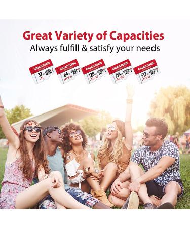 Gigastone 256GB Micro SD Card for Nintendo-Switch, GoPro, Dash Cam - 4K Video, UHS-I A1 U3 V30, up to 100MB/s - Buy Online on GoSupps.com