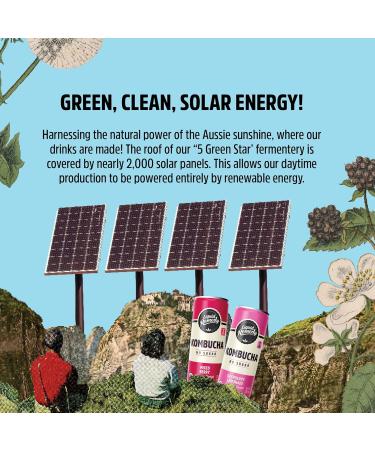 Remedy Kombucha Tea Organic Drink 24-Pack Ginger Lemon 8.5 Fl Oz - Sugar-Free, Keto, Vegan & Gluten-Free Sparkling Beverage - Buy Online on GoSupps.com