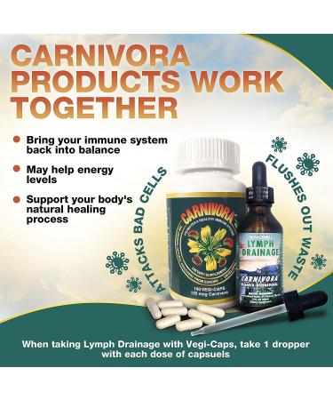 Carnivora Vegi-Caps - Natural Gluten Free Vegan Friendly Immune Support (100 Capsules) - Buy Online on GoSupps.com