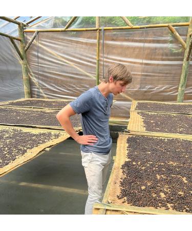 Buy Mandoi Organic Cub Pepper 100g | Eco-Friendly Stem Pepper from Java Indonesia | Support Small Farmers - Buy Online on GoSupps.com