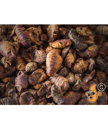 Chubby Silkworms Dried Silkworm Pupae for Wild Birds Koi Fish Reptiles and Other Animals 500g - Buy Online on GoSupps.com