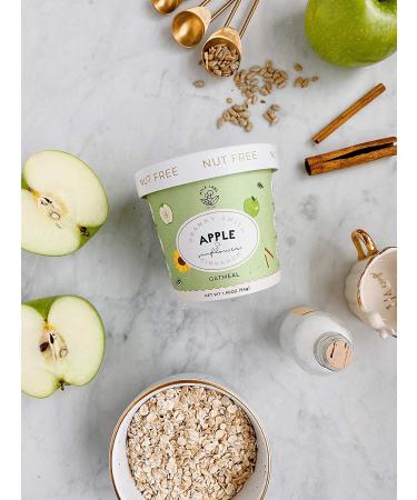 Mylk Labs Apple Cinnamon Instant Oatmeal - Nut Free, Gluten Free, High Fiber & Protein, Low Sugar - Pack of 6 - Buy Online on GoSupps.com
