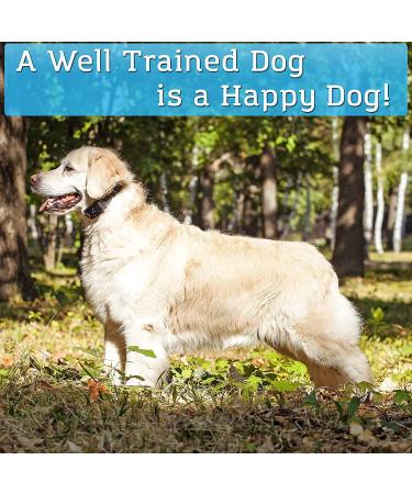 PetSpy P620 Dog Training Shock Collar - Rechargeable and Waterproof Remote Trainer for Dogs 10-140 lbs - Buy Online on GoSupps.com