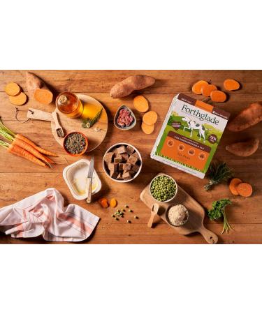 Forthglade Wet Dog Food (12 x 395g) - Grain Free Food with Turkey and Vegetables for Adult Dogs 1 Year and Older - Hypoallergenic Food for Sensitive Dogs - Buy Online on GoSupps.com