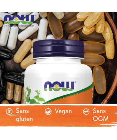 Now Foods Silymarin Milk Thistle (Milk Thistle) 150mg 120 Vegan Lab Tested Vegetarian Soy Free Gluten Free Non-GMO - Buy Online on GoSupps.com