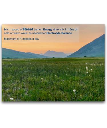 RESET Fasting Energy: 6 Electrolytes, Himalayan Salt, B-Complex Vitamins, 72 Minerals, Green Tea & Coffee, Pro Keto Lemon - 30 Servings - Buy Online on GoSupps.com