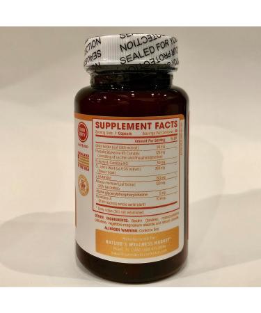 Natures Wellness Brain Booster | Natural Cognitive Enhancer for Increased Focus Memory and Mental Clarity | Nootropics Brain Supplement | DMAE Rhodiola Rosea Extract Bacopa Monnieri Ginkgo Biloba - Buy Online on GoSupps.com