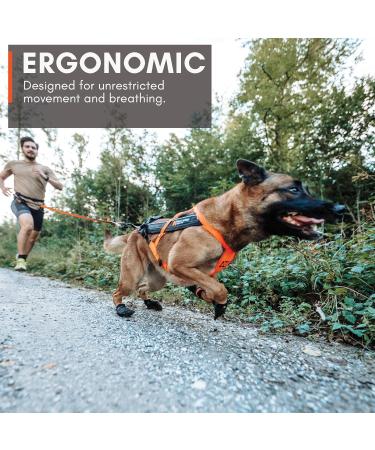 Non-stop dogwear FREEMOTION Harness 5.0 | Blue/Grey | Sport Dog Harness | Size 9 | International Shipping Available - Buy Online on GoSupps.com