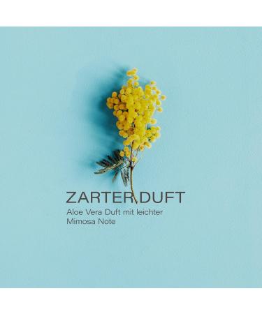 Leo & Lilo Small Greeting Hand & Body Lotion with Bio Aloe Vera - 3 x 50 ml in 'Thank You' Gift Packaging | Perfect for Gifting - Buy Online on GoSupps.com