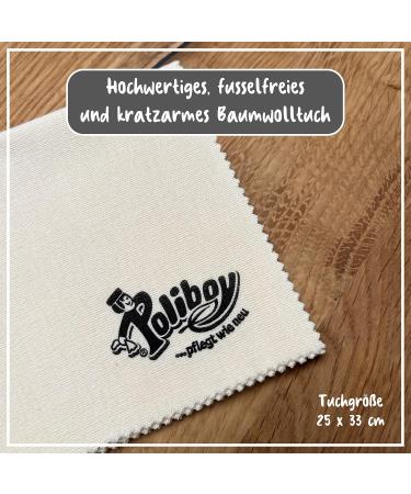 Poliboy Furniture Intensive Care - 750ml Spray for Lacquered Wood - Protective & Refreshing Care - Color Neutral - Includes Cotton Cloth - Made in Germany - Buy Online on GoSupps.com