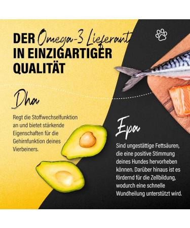 Canobel Salmon Oil for Dogs & Cats | 100ml | High-Dose Omega 3 & 6 Fatty Acids | Premium Fish Oil from Germany | Ideal for Puppies Adults & Seniors - Buy Online on GoSupps.com