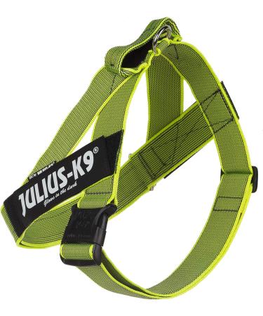 Julius-K9 Belt Harness L/1 Neon-Grey | Durable Color & Gray Dog Harness for International Shipping - Buy Online on GoSupps.com