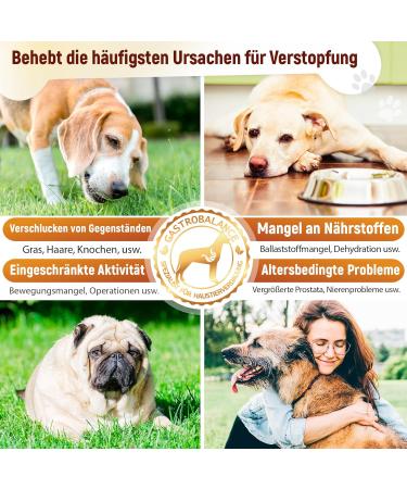 GastroBalance Relief for Constipation in Dogs 60 Soft Chews | Natural Laxative with 100% Active Ingredients Fast International Shipping - Buy Online on GoSupps.com