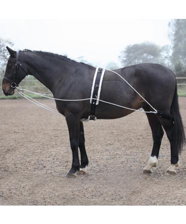 Shires Lunging Aid One Size Black - Buy Online on GoSupps.com