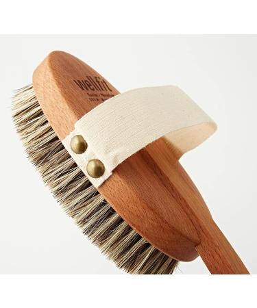 Croll & Denecke Bath Brush with Horsehair Bristles - Premium Quality 1 Piece for Gentle Cleansing - International Shipping Available - Buy Online on GoSupps.com