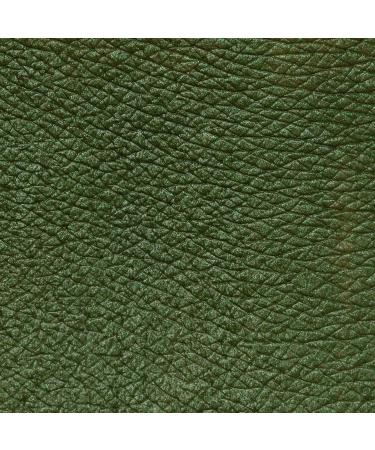  Neve Cosmetics Neve Cosmetics Pastel High Shade Eyes | Kiss a Frog - Buy Online on GoSupps.com