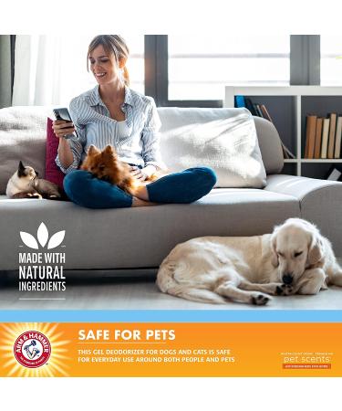 Arm & Hammer Pet Scents Solid Gel Deodorizer - 15 Ounces - Home & Pet Odor Eliminator - Buy Online on GoSupps.com