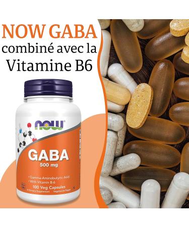 Now Foods GABA 500 mg 100 Vegetable Capsules Laboratory Tested Vitamin B6 Gluten Free Soy Free Vegetarian - Buy Online on GoSupps.com