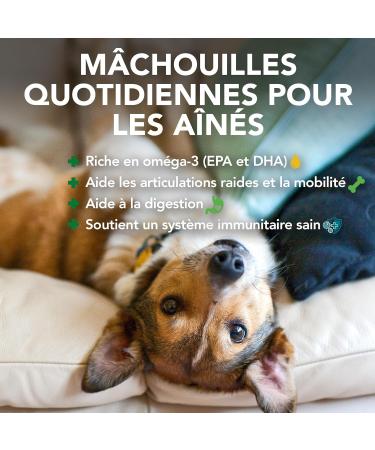 Vets Best Daily Soft Chews for Senior Dogs - 180 Count | Premium Health Supplements for Aging Pets - Buy Online on GoSupps.com