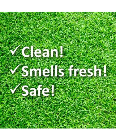 WEE FREE 1 Ltr Artificial Grass Cleaner and Pet Odour Eliminator for Dog Urine - Neutraliser and Deodoriser for Dog Wee on Astro Turf and Fake Lawns. Safe for Dogs and Animals. - Buy Online on GoSupps.com