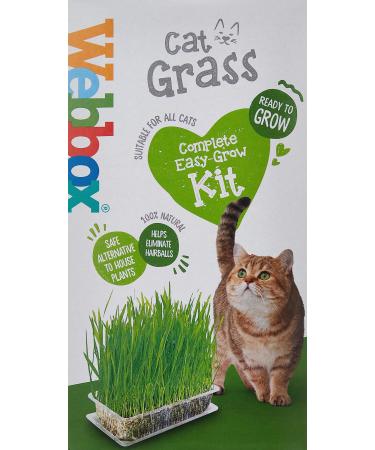 Webbox Cat Grass Kit 120g - Buy Online on GoSupps.com