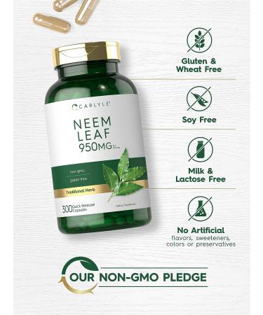 Carlyle Neem Leaf Capsules 950mg - 300 Count | Non-GMO, Gluten Free Traditional Herbal Supplement | Azadirachta Indica - Buy Online on GoSupps.com