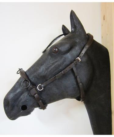 PS Horse Articles Padded Anatomical French Cavesson Cavecon/Cavesson with D-Rings Cob - Color Brown
