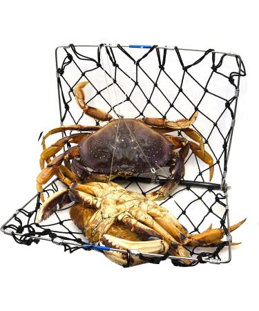 AirFly Foldable Castable Crabjaw Trap with Bait Clip - Durable & Convenient Design | 1pc - Buy Online on GoSupps.com