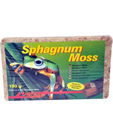 Lucky Reptile Sphagnum Moss - 100 g Terrarienmoos Bricks for reptiles - Terrarium for increasing humidity - Moos from controlled cultivation orchids & bromelia - Accessories