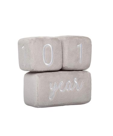 Pearhead Baby Plush Age Blocks - Set of 3 Gray Blocks for Photo Sharing Milestones - Buy Online on GoSupps.com