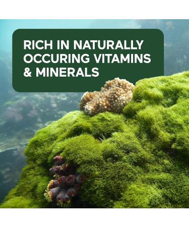 SMARTERNUTRITION Sea Moss Multimineral with Irish Sea Moss with Ashwagandha Bladderwrack Turmeric Zinc Vitamin C Elderberry Dandelion - Non-GMO USA Manufactured - 180 Capsules 90 Day Supply  - Buy Online on GoSupps.com