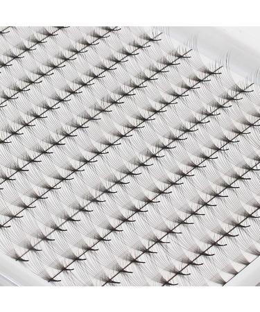 10D Large Tray Premade Volume Fans Eyelash Extensions - 220pcs 0.07mm D Curl Soft & Light 10-18mm Lengths - Buy Online on GoSupps.com