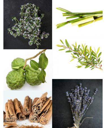 Anti-Viral Remedy Oil with Nasal Inhaler Stick - Powerful Virus Killing Essential Oils Blend for Lungs & Airways. Combat Viruses, Bacteria & Germs. Refresh & Reuse - Buy Online on GoSupps.com