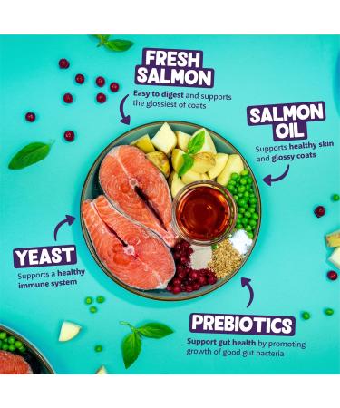 Edgard & Cooper Adult Cat Food (Salmon 2 kg) Food for Sterilized and Active Cats Grain Free Ingredients - Buy Online on GoSupps.com