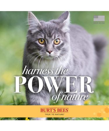 Burt's Bees Dander Reducing Wipes for Cats | Colloidal Oat Flour | 50 Count - Buy Online on GoSupps.com
