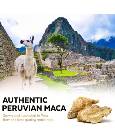 Viva Naturals Organic Maca Powder - 16oz | Premium Superfood for Energy & Balance - Buy Online on GoSupps.com
