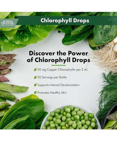 Buried Treasure Liquid Chlorophyll Drops - Copper Chlorophyllin from Mulberry Leaves, Manufactured in USA, Vegan, Supports Overall Wellness, Unflavored, 30 Servings. - Buy Online on GoSupps.com