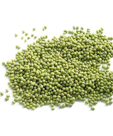 Todd's Seeds Sprouting Seeds Mung Bean, Chinese Bean Sprouts, 5 Pounds 5 Pound (Pack of 1)