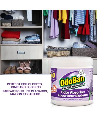 OdoBan Lavender Solid Odor Absorber Odor Eliminator for & Musty Smell in Home Bathroom Kitchen Pet Areas 14 oz. (398 g) - Buy Online on GoSupps.com