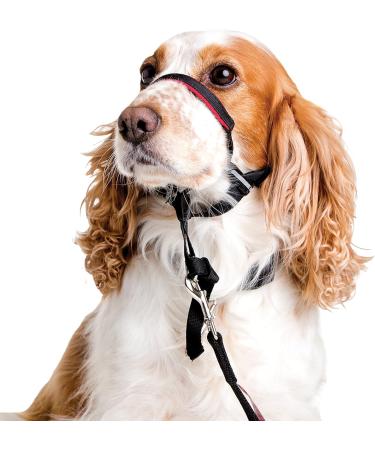 Halti Head Collar Adjustable Head Halter Collar for Dogs Head Collar to Stop Pulling for Small Dogs & Training Lead for Dogs Dog Lead to Stop Pulling on Walks Large Black Medium + Training Lead for Dogs Large Black - Buy Online on GoSupps.com