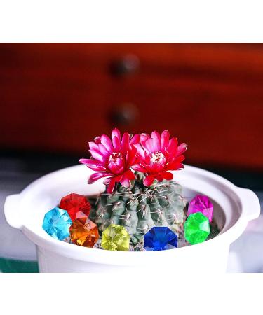 JollyLife 36PCS Acrylic Diamond Gems Jewels - Pirate Treasure Chest Party Favors - 25 Carat - Buy Online on GoSupps.com