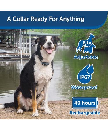 PetSafe 300 Meter Remote Trainer Standard 300 Meter - Buy Online on GoSupps.com